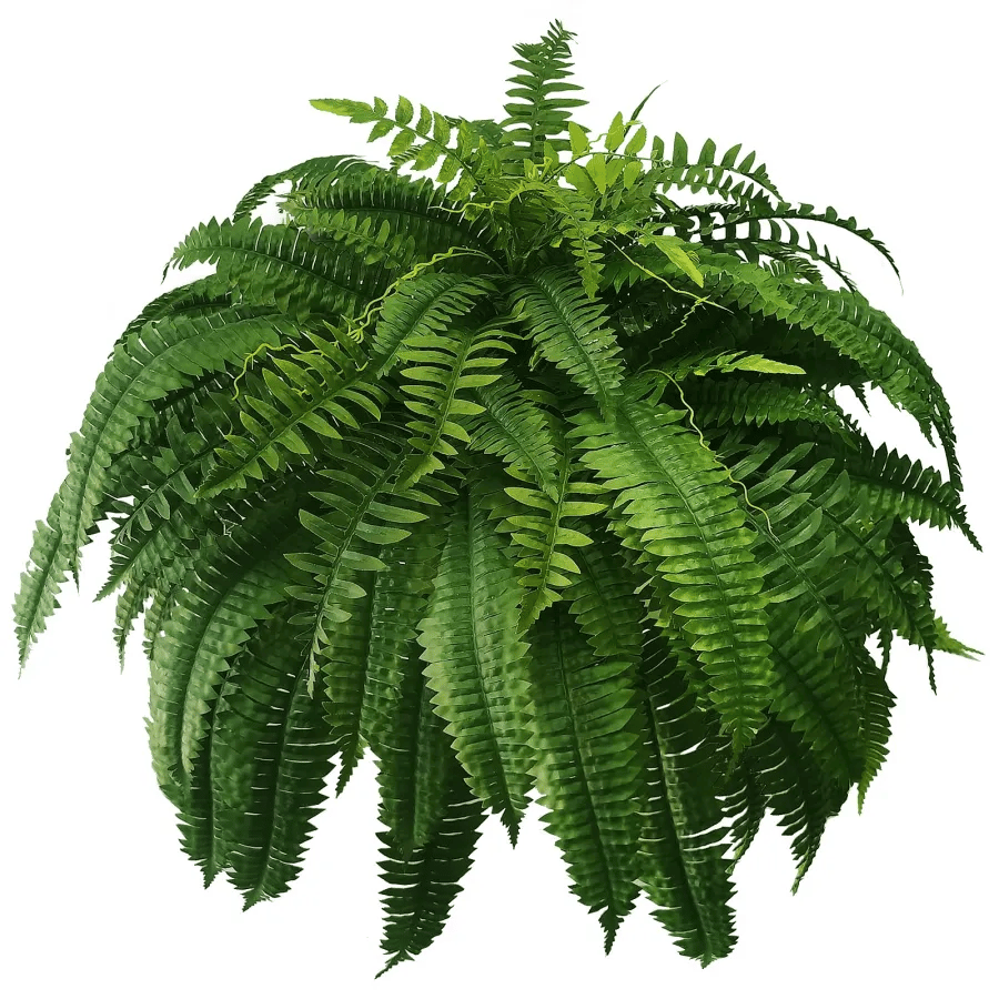 UV Resistant Lifelike Artificial Boston Fern🎁Buy 2 Free Shipping