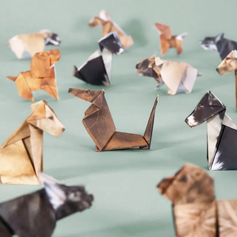 🐱 Supersøte DIY Papirkatter Sett