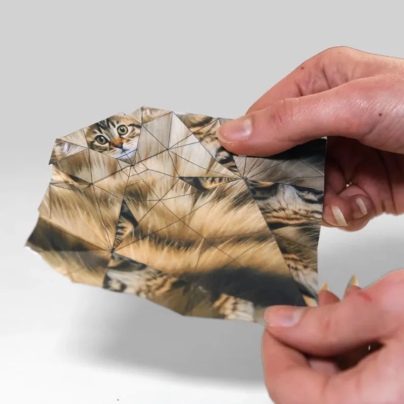 🐱 Super­søte DIY Papirkatter Sett