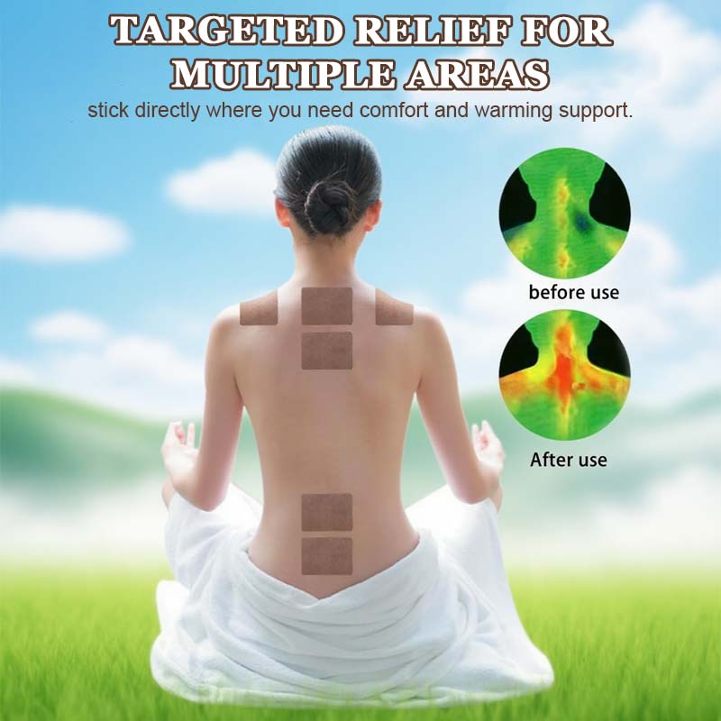 🔥2025 Nyhet 🔥 Malurt Moxibustion Leddplaster