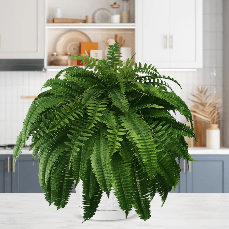 UV Resistant Lifelike Artificial Boston Fern🎁Buy 2 Free Shipping