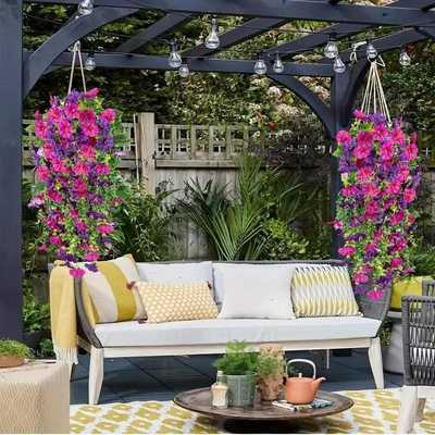 🌺 Verandans nye stjerne – Morgenstjernen! 🌺🏡