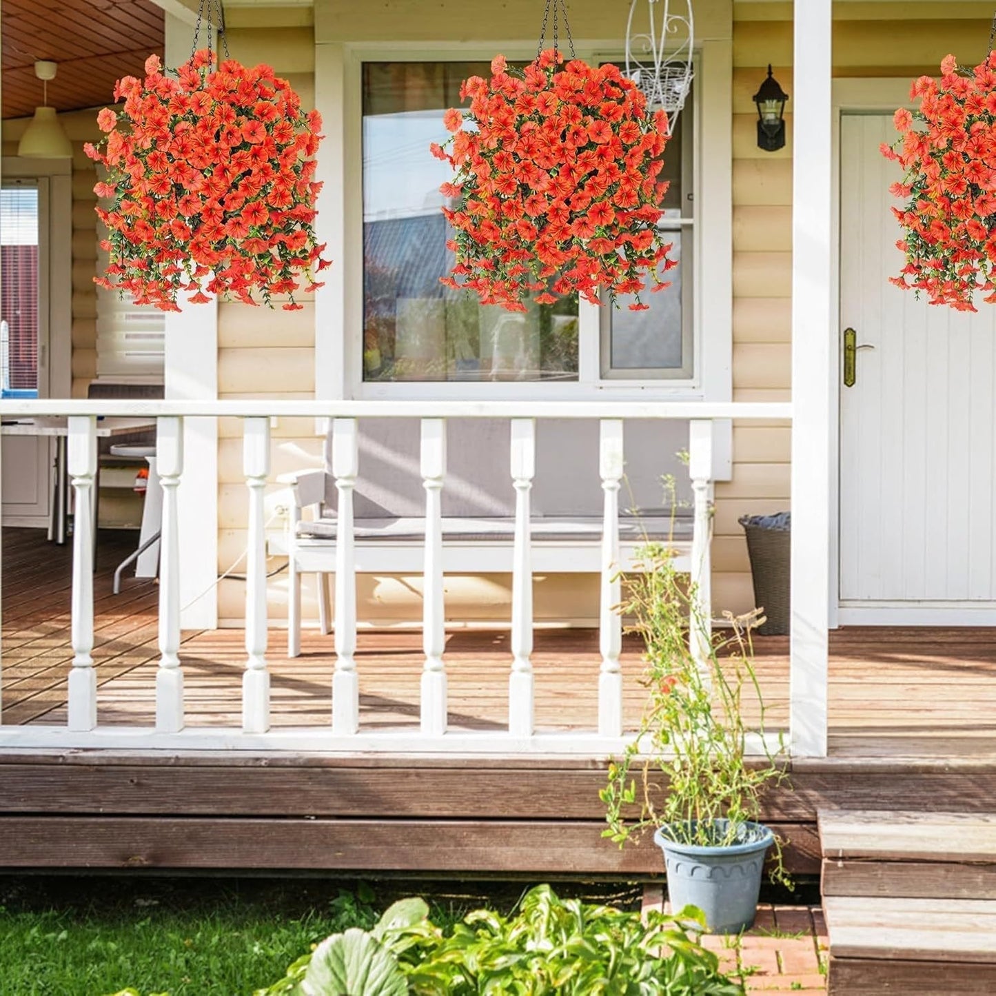 🌺 Verandans nye stjerne – Morgenstjernen! 🌺🏡