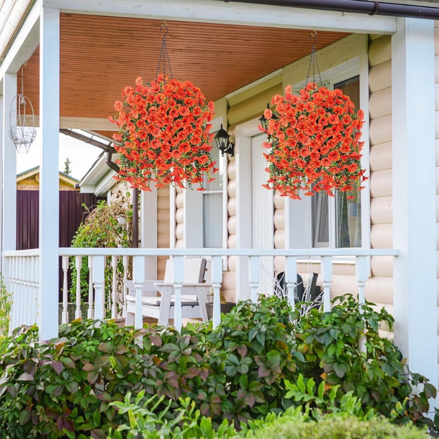🌺 Verandans nye stjerne – Morgenstjernen! 🌺🏡